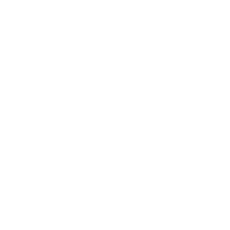 360 Icon