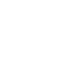 Antenna Tower Report Annotated Icon