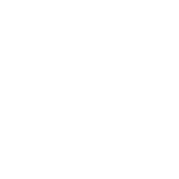 Badges Section 333 Part 107 Icon