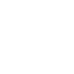 Digital Elevation Model Annotated Icon