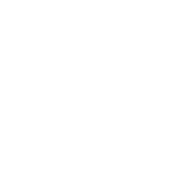 Digital Elevation Model Search Icon