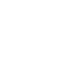 Diploma Roll Section 333 Icon