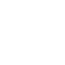 Drone App Money Increase Icon