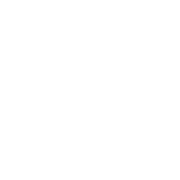 Flight Path Waypoints Icon
