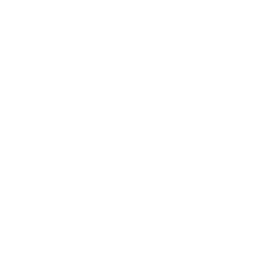 Golf Course Drone Icon
