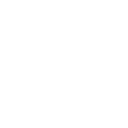 House Video Interior Icon