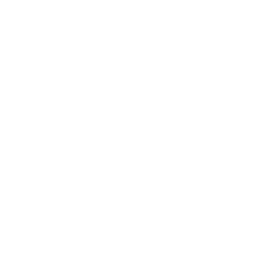 Invoice Drone Icon