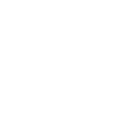 Multispectral Drone Fixed Wing Icon
