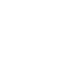 Remote Control Mobile Icon