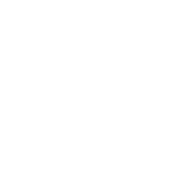 Report Curves Chart Icon