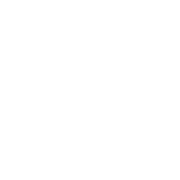 Report Drone Shield Icon