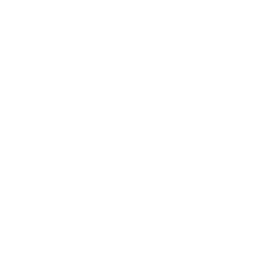 Sale Tag Drone Money Icon