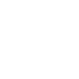 Sectional Chart Icon