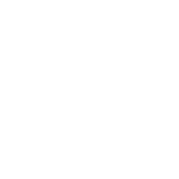 Settings Mobile Icon