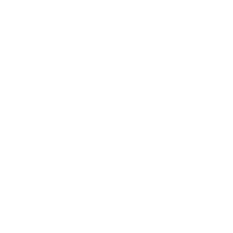 Settings Toggles Panel Icon