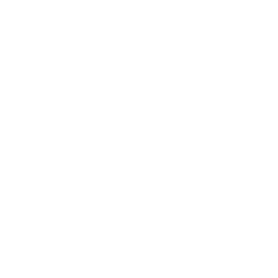 Speaker Box Icon