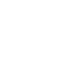 Street Report Shield Icon