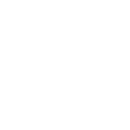 Viewfinder Night Icon