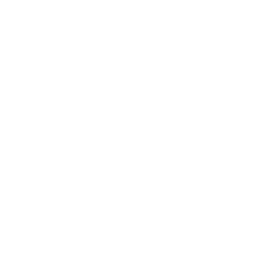 Wallet Icon