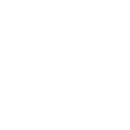 Watch Icon
